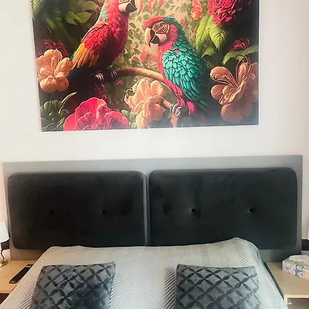 Freedom Oasis